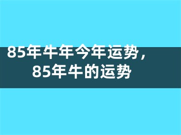 85年牛年今年运势，85年牛的运势