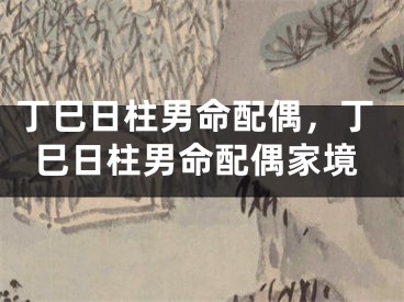 丁巳日柱男命配偶，丁巳日柱男命配偶家境