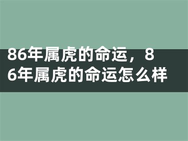 86年属虎的命运，86年属虎的命运怎么样