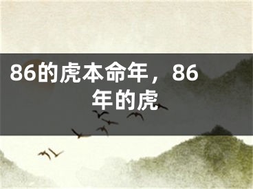86的虎本命年,86年的虎