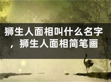 狮生人面相叫什么名字，狮生人面相简笔画