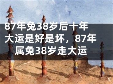 87年兔38岁后十年大运是好是坏，87年属兔38岁走大运
