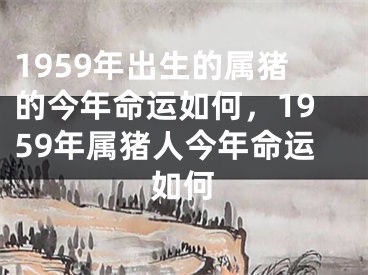1959年出生的属猪的今年命运如何，1959年属猪人今年命运如何