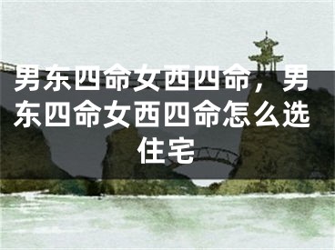 男东四命女西四命，男东四命女西四命怎么选住宅