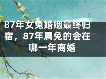 87年女兔婚姻最终归宿，87年属兔的会在哪一年离婚
