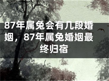 87年属兔会有几段婚姻，87年属兔婚姻最终归宿