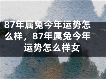 87年属兔今年运势怎么样，87年属兔今年运势怎么样女