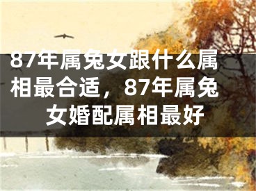 87年属兔女跟什么属相最合适，87年属兔女婚配属相最好