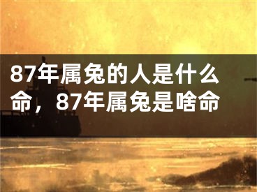 87年属兔的人是什么命，87年属兔是啥命