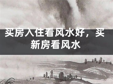 买房入住看风水好,买新房看风水