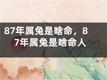 87年属兔是啥命，87年属兔是啥命人