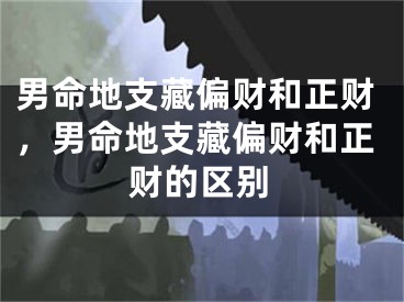 男命地支藏偏财和正财,男命地支藏偏财和正财的区别