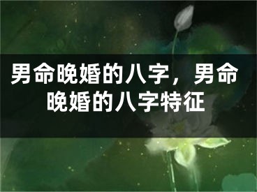 男命晚婚的八字，男命晚婚的八字特征