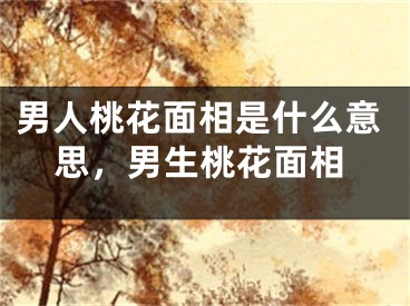 男人桃花面相是什么意思，男生桃花面相