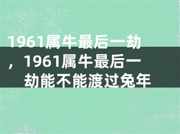 1961属牛最后一劫,1961属牛最后一劫能不能渡过兔年