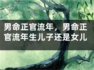 男命正官流年,男命正官流年生儿子还是女儿
