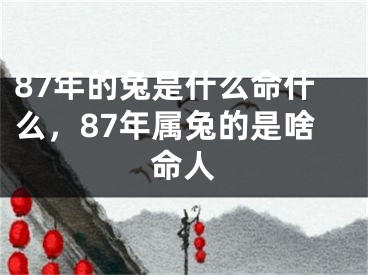 87年的兔是什么命什么，87年属兔的是啥命人
