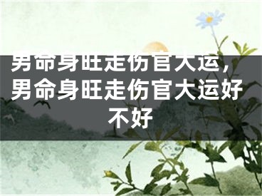 男命身旺走伤官大运，男命身旺走伤官大运好不好