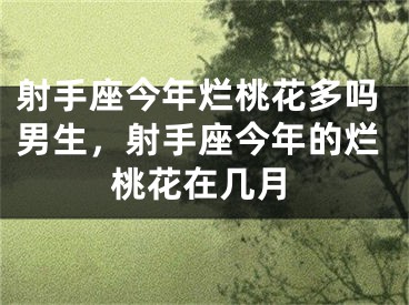射手座今年烂桃花多吗男生，射手座今年的烂桃花在几月