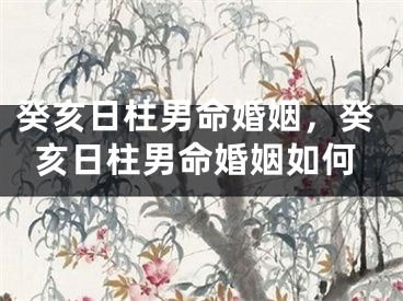 癸亥日柱男命婚姻，癸亥日柱男命婚姻如何