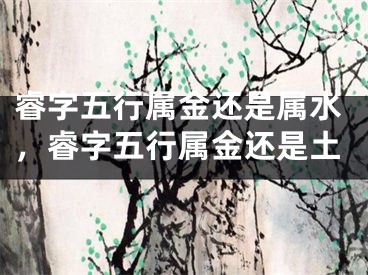 睿字五行属金还是属水，睿字五行属金还是土