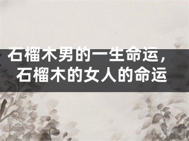 石榴木男的一生命运，石榴木的女人的命运