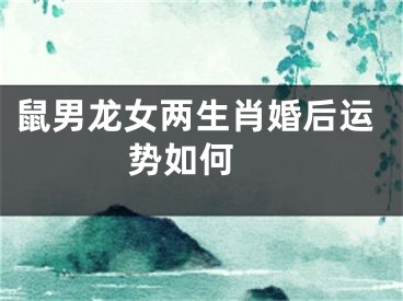 鼠男龙女两生肖婚后运势如何 