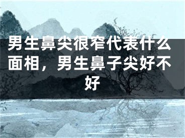 男生鼻尖很窄代表什么面相，男生鼻子尖好不好