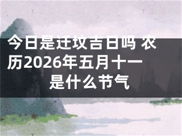 今日是迁坟吉日吗 农历2026年五月十一是什么节气