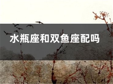 水瓶座和双鱼座配吗