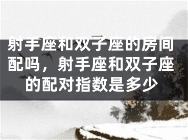 射手座和双子座的房间配吗,射手座和双子座的配对指数是多少