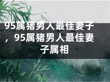 95属猪男人最佳妻子，95属猪男人最佳妻子属相