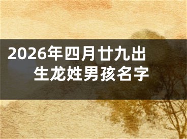 2026年四月廿九出生龙姓男孩名字