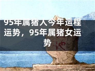 95年属猪人今年运程运势,95年属猪女运势