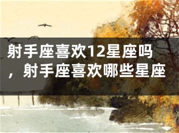射手座喜欢12星座吗，射手座喜欢哪些星座
