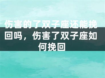 伤害的了双子座还能挽回吗，伤害了双子座如何挽回