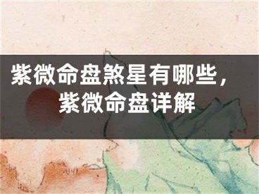 紫微命盘煞星有哪些，紫微命盘详解