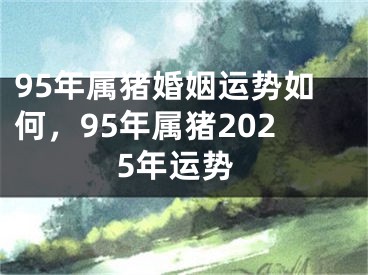 95年属猪婚姻运势如何，95年属猪2025年运势