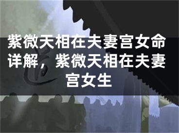 紫微天相在夫妻宫女命详解，紫微天相在夫妻宫女生