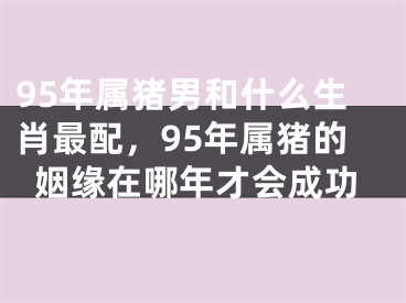 95年属猪男和什么生肖最配，95年属猪的姻缘在哪年才会成功