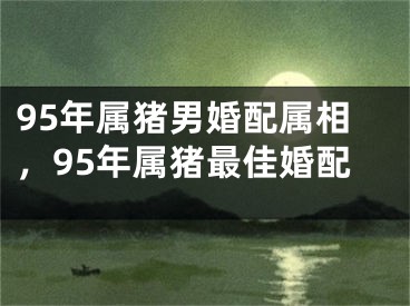 95年属猪男婚配属相，95年属猪最佳婚配