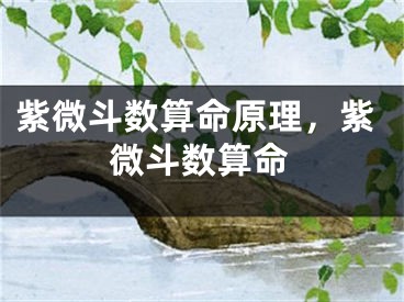 紫微斗数算命原理，紫微斗数算命