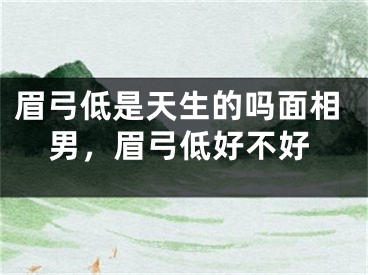 眉弓低是天生的吗面相男，眉弓低好不好