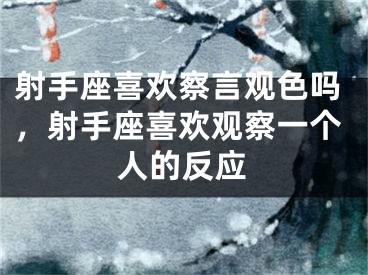 射手座喜欢察言观色吗，射手座喜欢观察一个人的反应