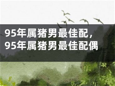 95年属猪男最佳配，95年属猪男最佳配偶