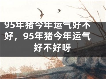 95年猪今年运气好不好，95年猪今年运气好不好呀