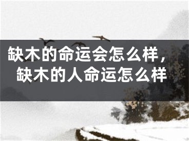 缺木的命运会怎么样，缺木的人命运怎么样