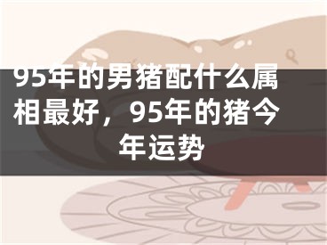 95年的男猪配什么属相最好，95年的猪今年运势