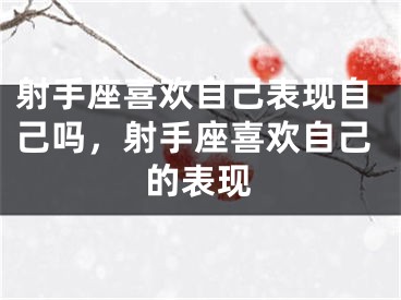射手座喜欢自己表现自己吗，射手座喜欢自己的表现