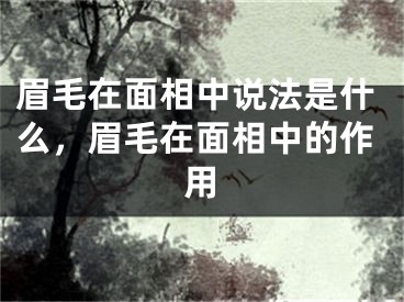 眉毛在面相中说法是什么，眉毛在面相中的作用